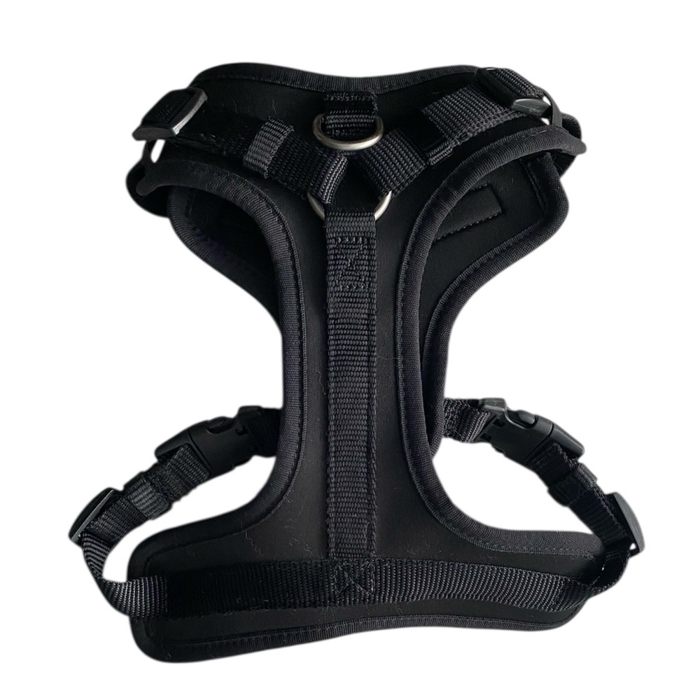 Black Dog Harness